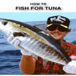How to Fish For Tuna
