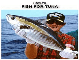 How to Fish For Tuna