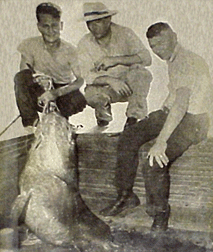 Antique photo of three guys next to a fish.