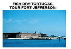 Fish Dry Tortugas Tour Fort Jefferson
