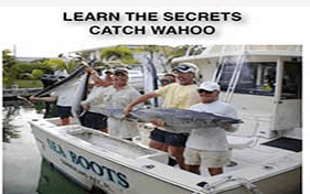 Picture of four guys at the back of a boat holding a large Wahoo fish they caught